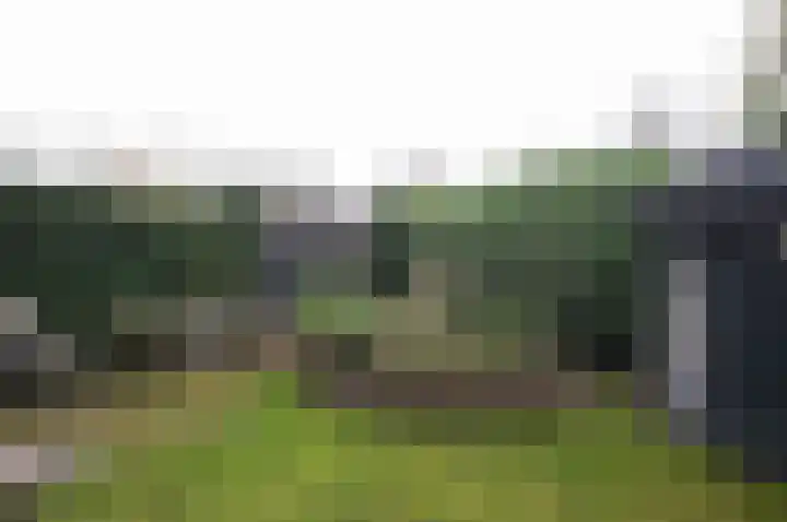 Boerhaavelaan 6 Bussum thumbnail 27