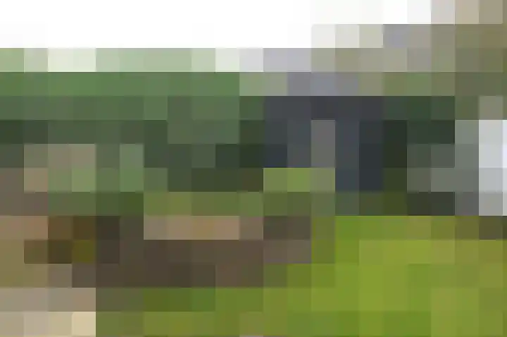 Boerhaavelaan 6 Bussum thumbnail 28
