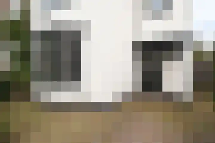 Boerhaavelaan 6 Bussum thumbnail 5