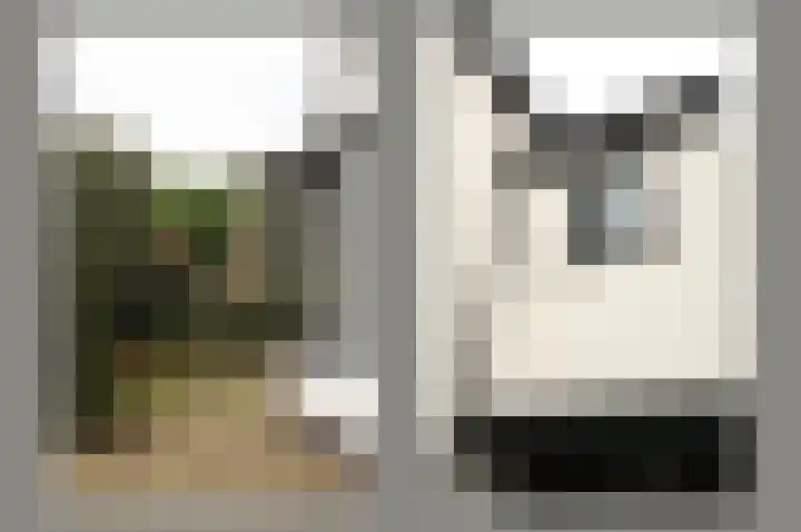 Boerhaavelaan 6 Bussum thumbnail 7