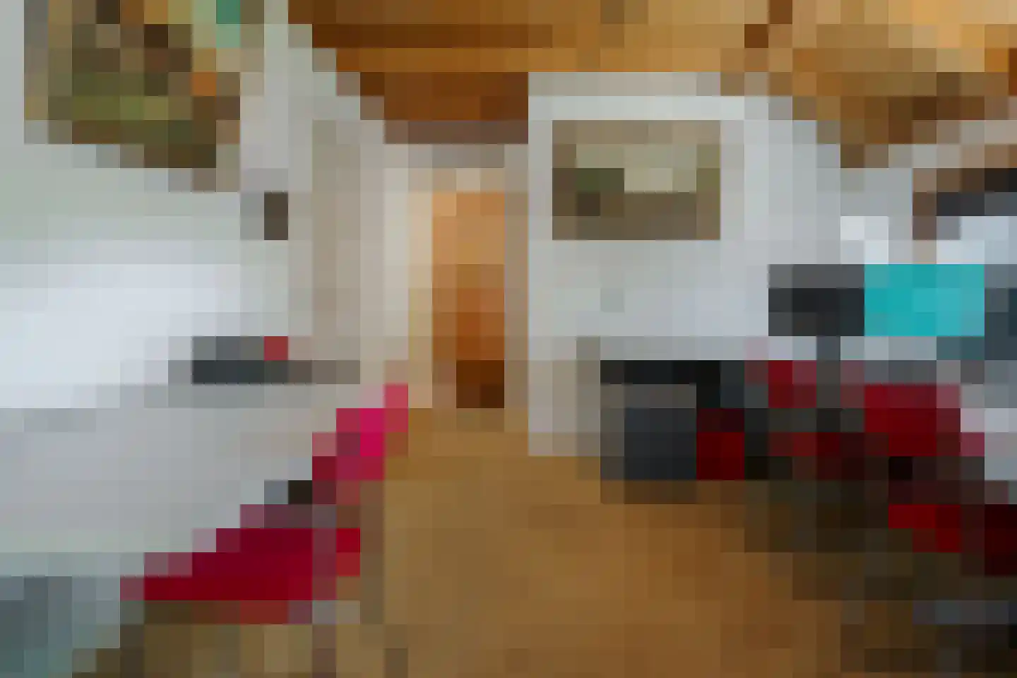 Boerhaavelaan 6 Vriezenveen thumbnail 17