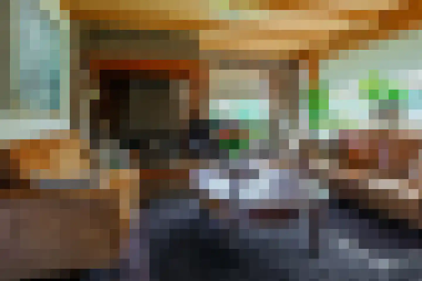 Boerhaavelaan 6 Vriezenveen thumbnail 19