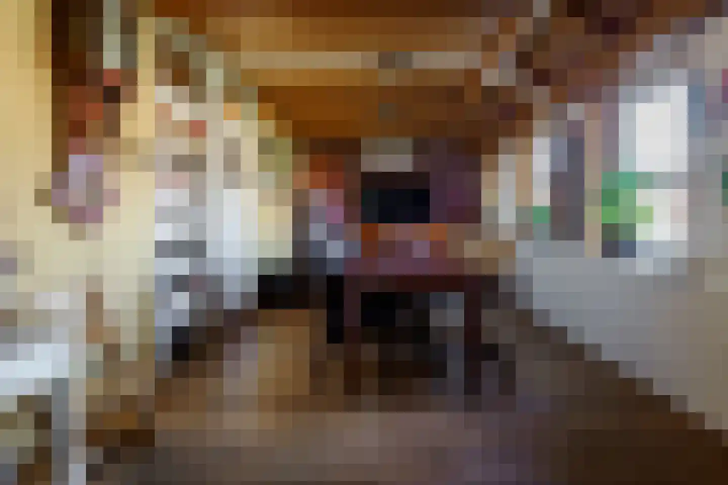 Boerhaavelaan 6 Vriezenveen thumbnail 26