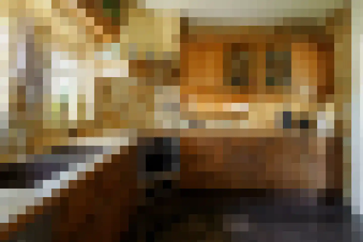 Boerhaavelaan 6 Vriezenveen thumbnail 31