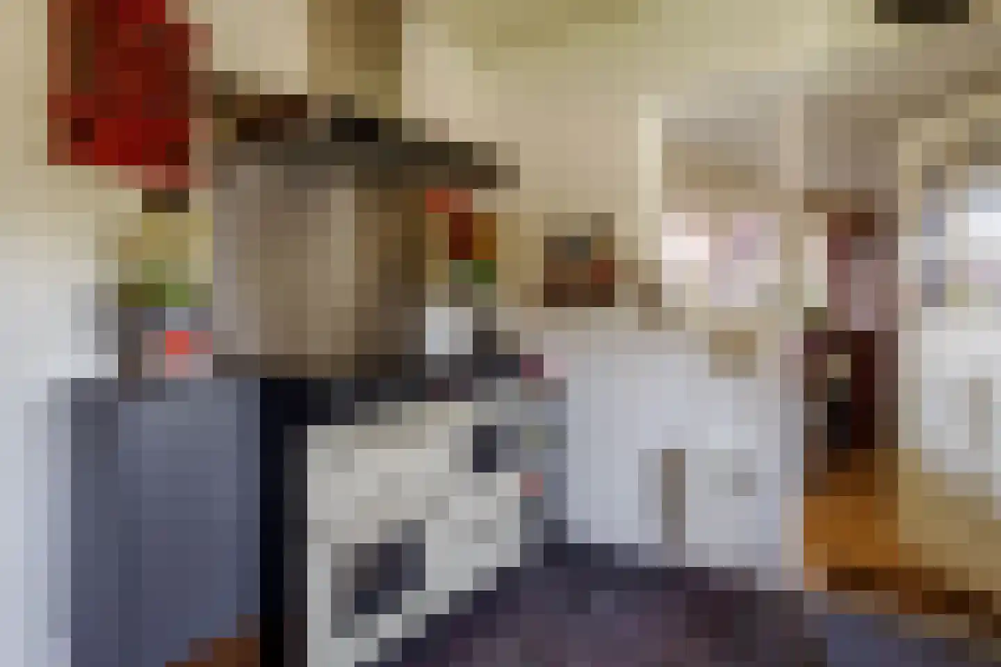 Boerhaavelaan 6 Vriezenveen thumbnail 32