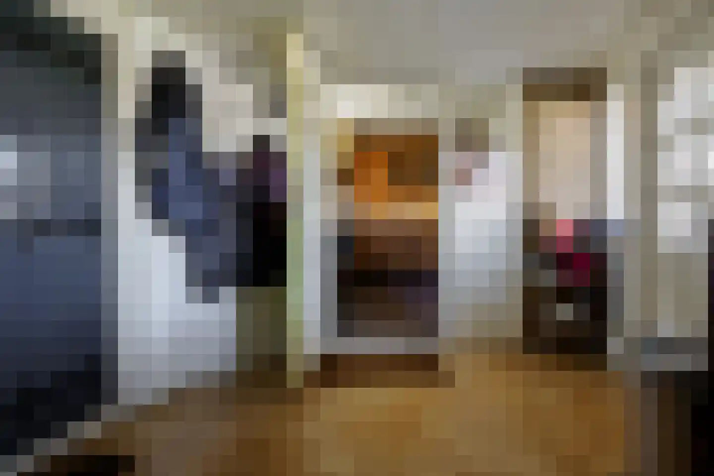 Boerhaavelaan 6 Vriezenveen thumbnail 34