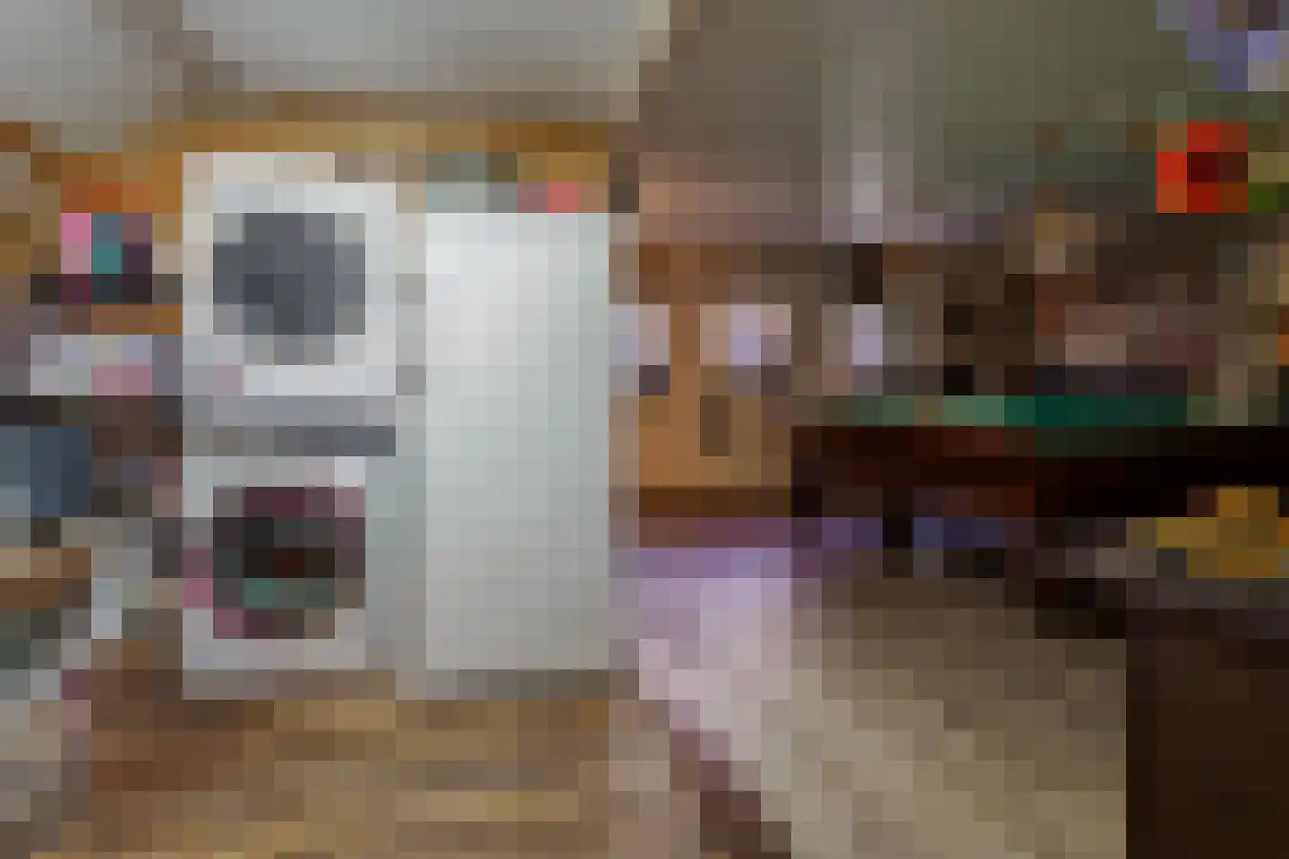 Boerhaavelaan 6 Vriezenveen thumbnail 35