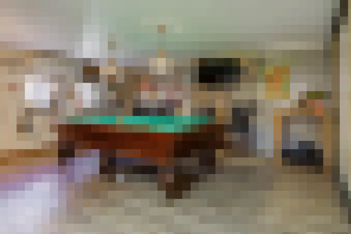 Boerhaavelaan 6 Vriezenveen thumbnail 36