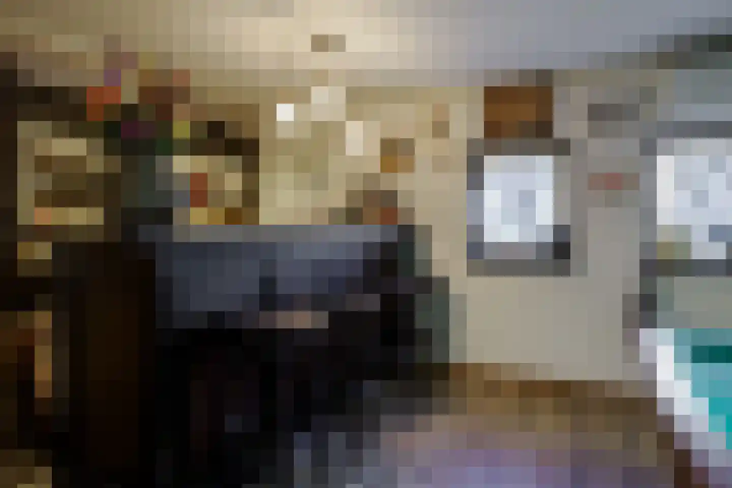Boerhaavelaan 6 Vriezenveen thumbnail 37