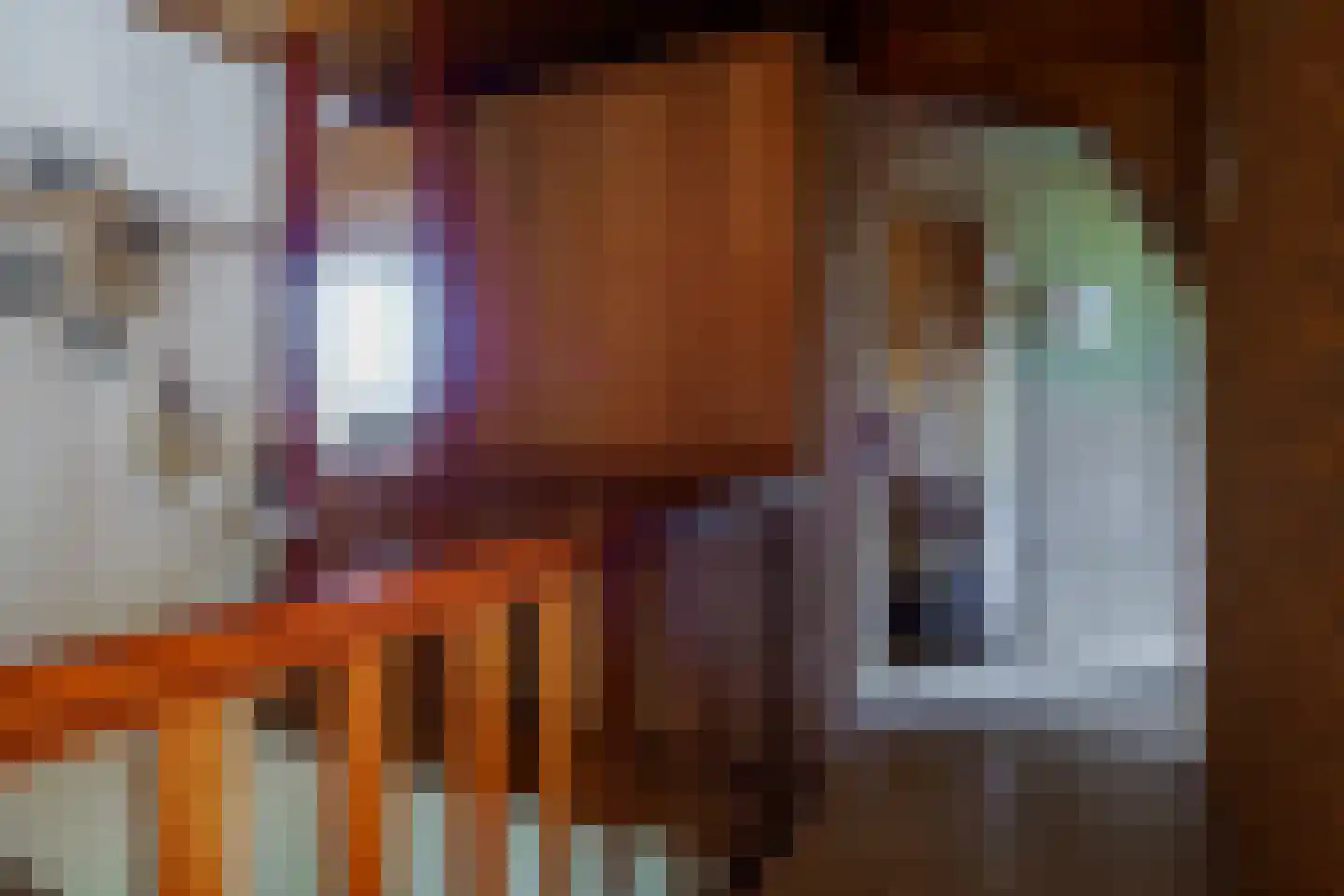 Boerhaavelaan 6 Vriezenveen thumbnail 38