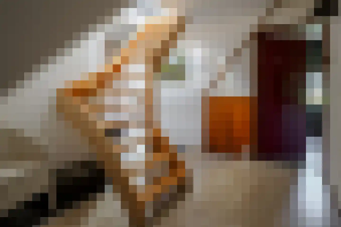 Boerhaavelaan 6 Vriezenveen thumbnail 41