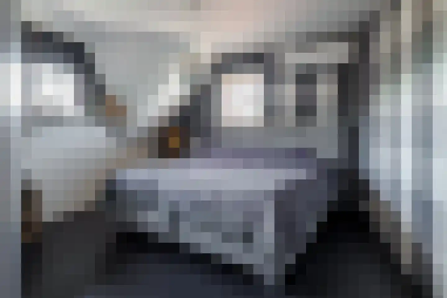 Boerhaavelaan 6 Vriezenveen thumbnail 42