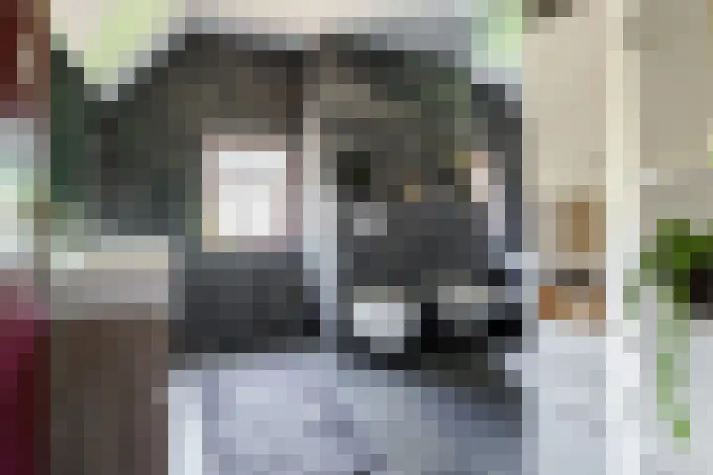 Boerhaavelaan 6 Vriezenveen thumbnail 5