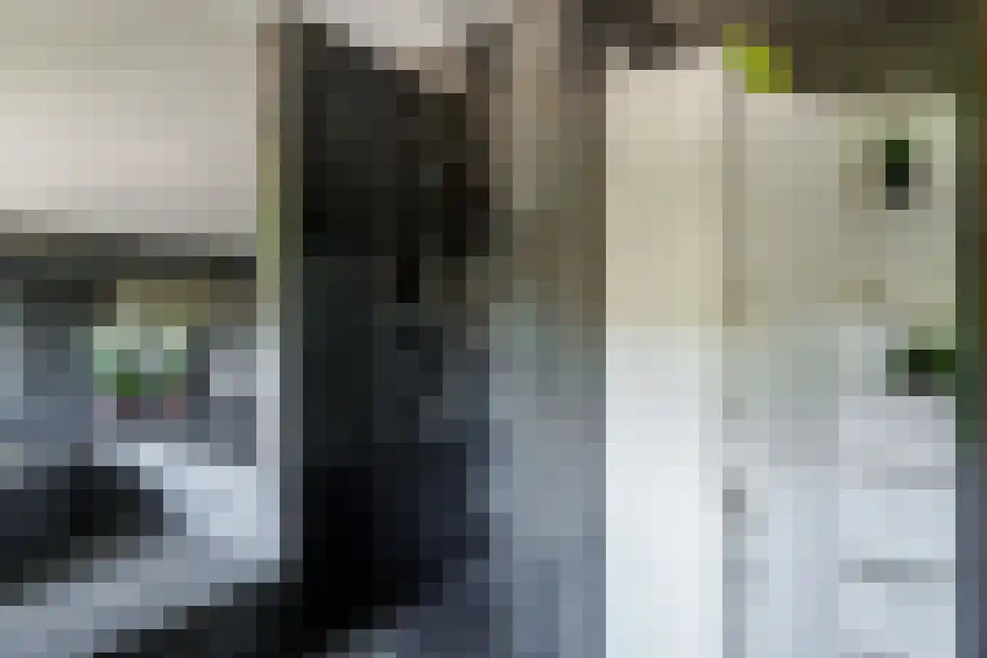 Boerhaavelaan 6 Vriezenveen thumbnail 50