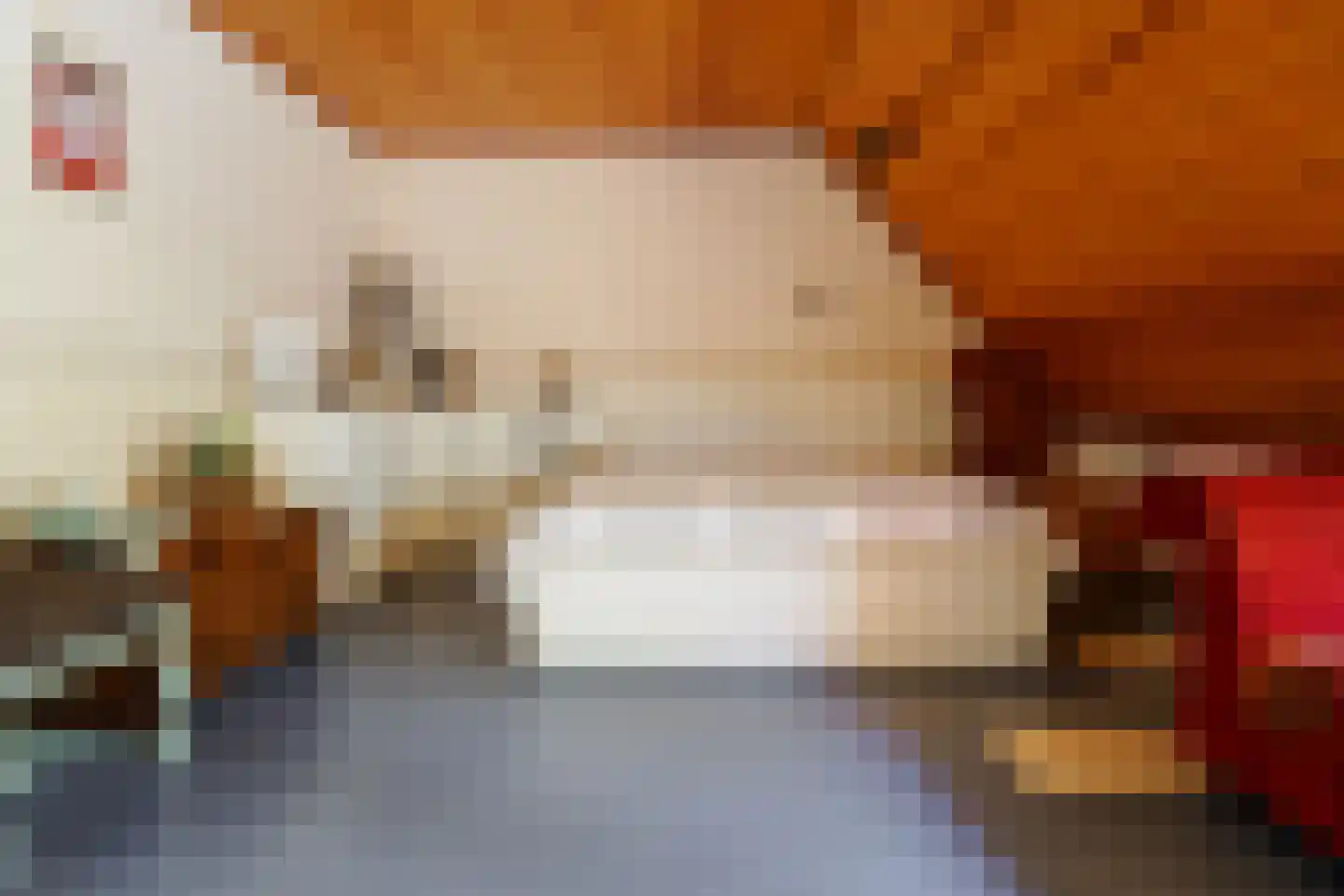 Boerhaavelaan 6 Vriezenveen thumbnail 52