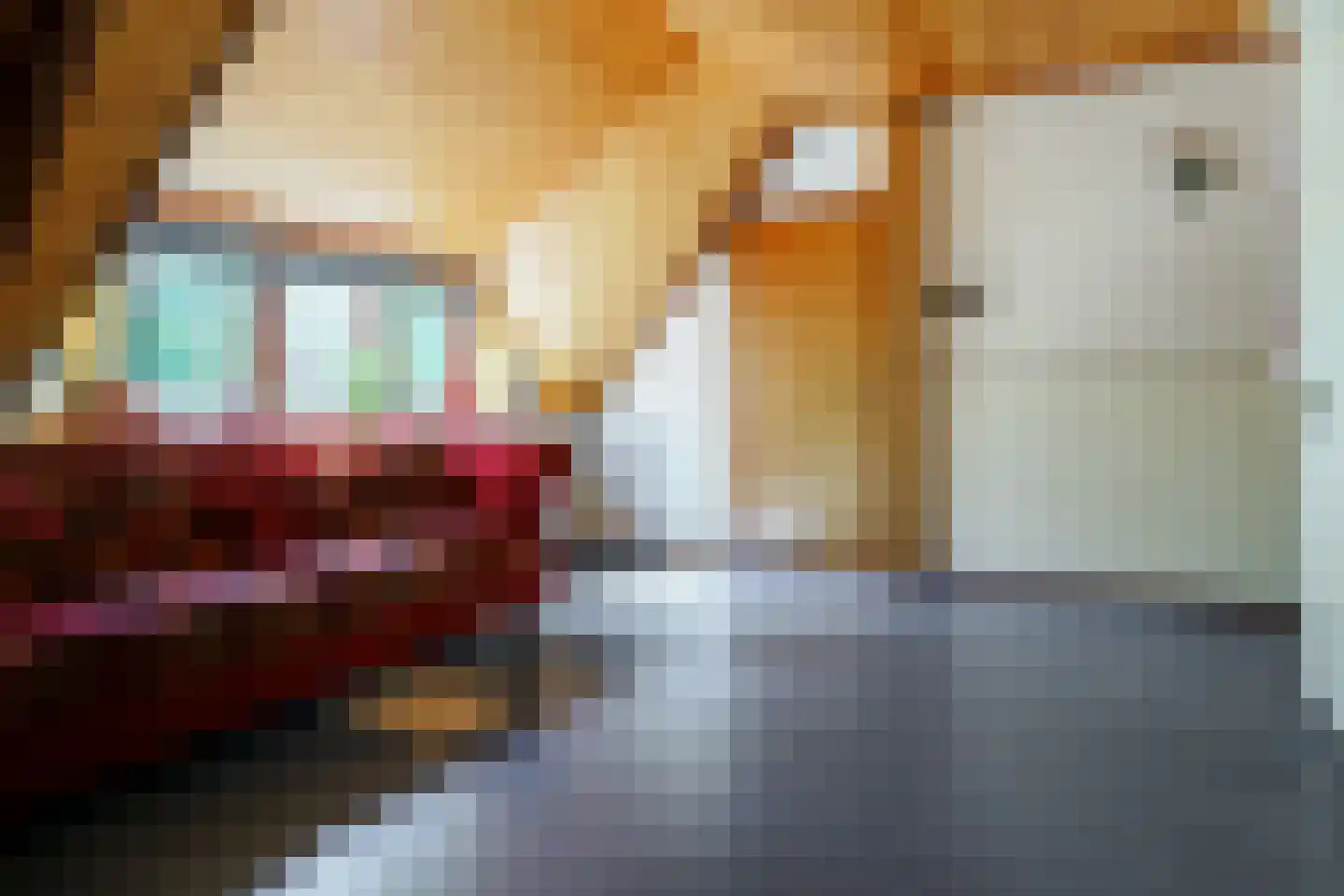 Boerhaavelaan 6 Vriezenveen thumbnail 53