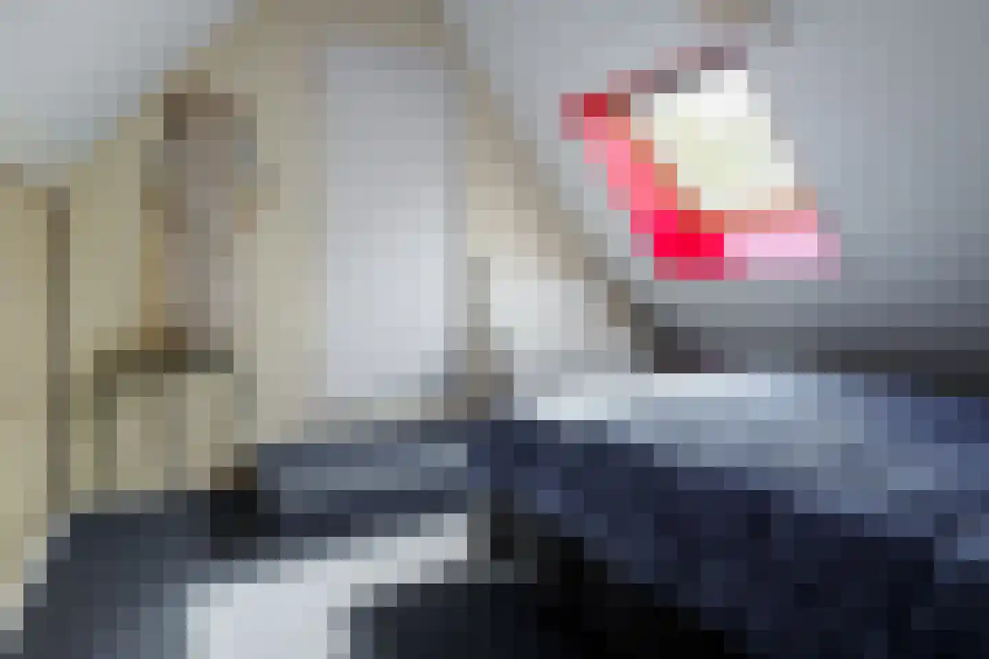 Boerhaavelaan 6 Vriezenveen thumbnail 55