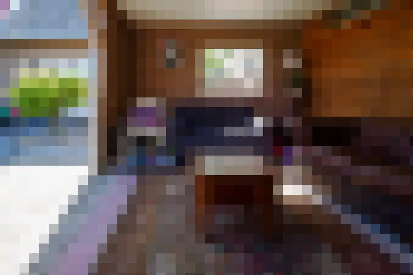 Boerhaavelaan 6 Vriezenveen thumbnail 62
