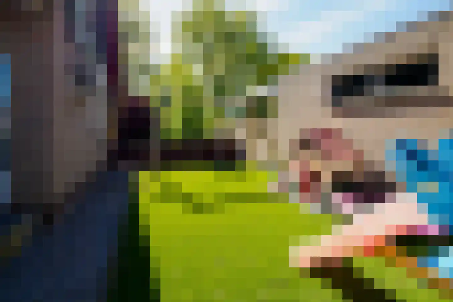 Boerhaavelaan 6 Vriezenveen thumbnail 63