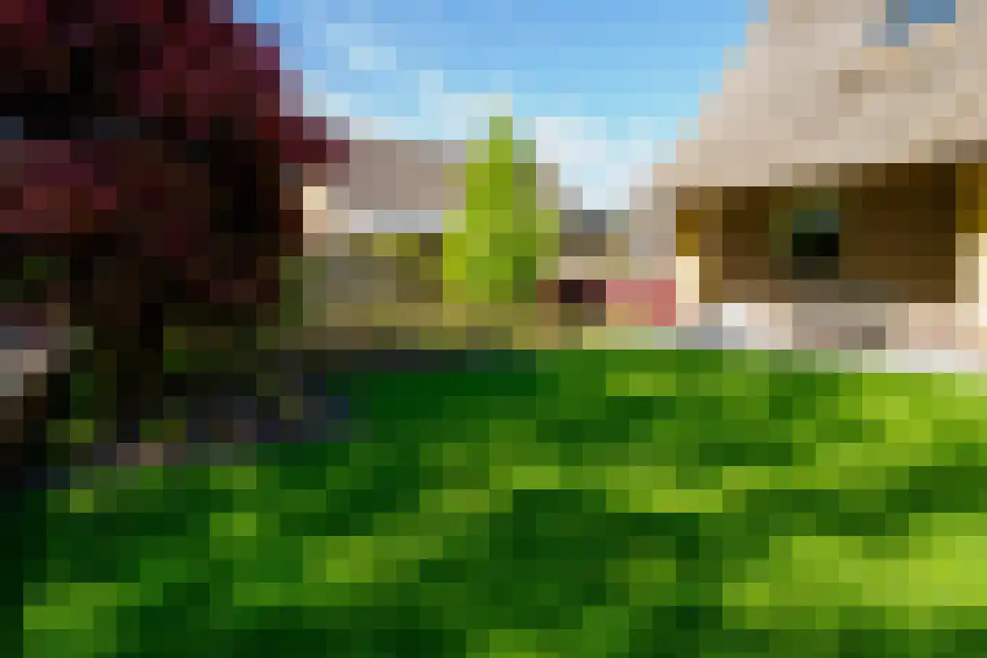 Boerhaavelaan 6 Vriezenveen thumbnail 66