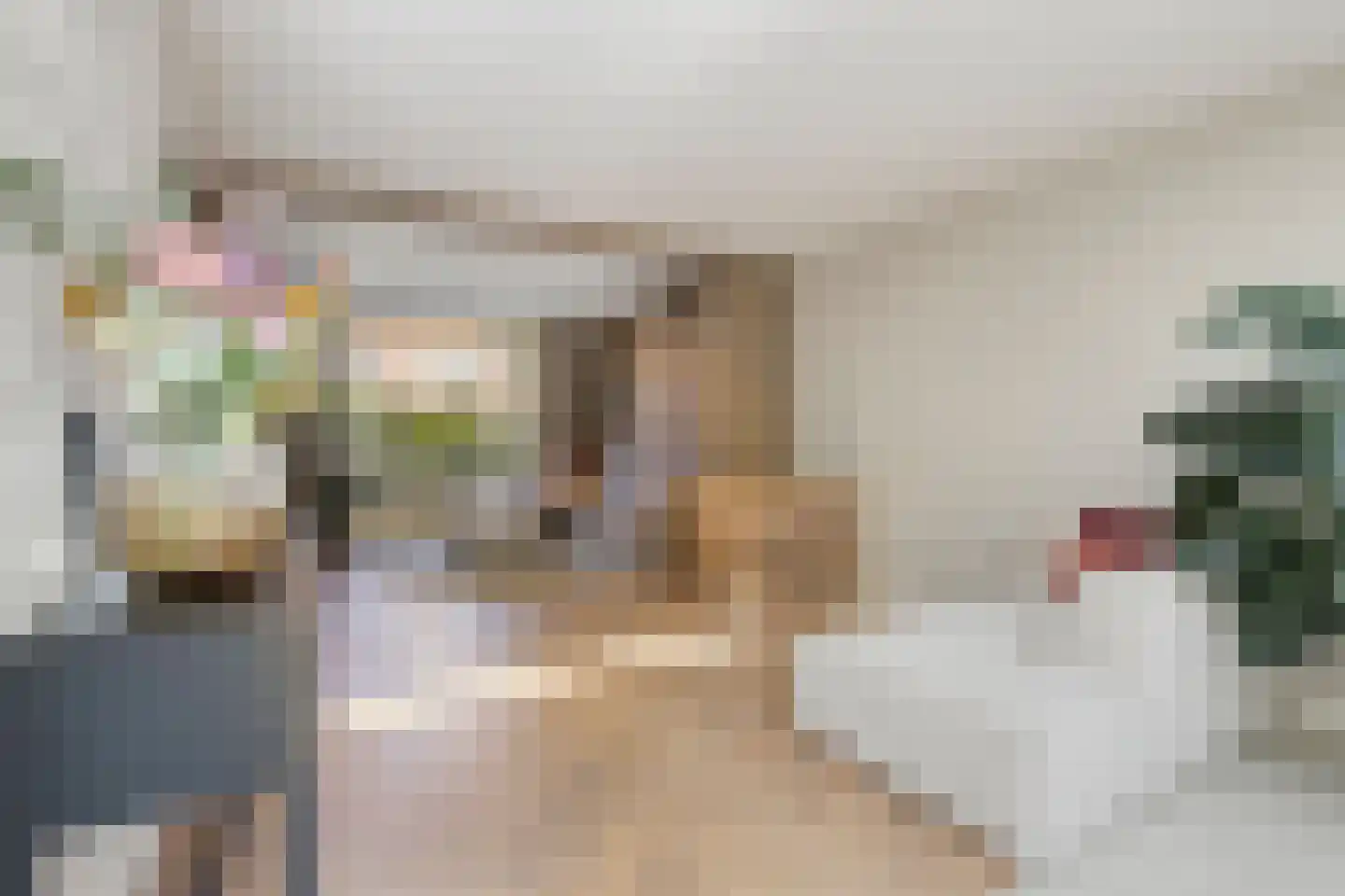 Boerhaavelaan 61 Eindhoven thumbnail 11