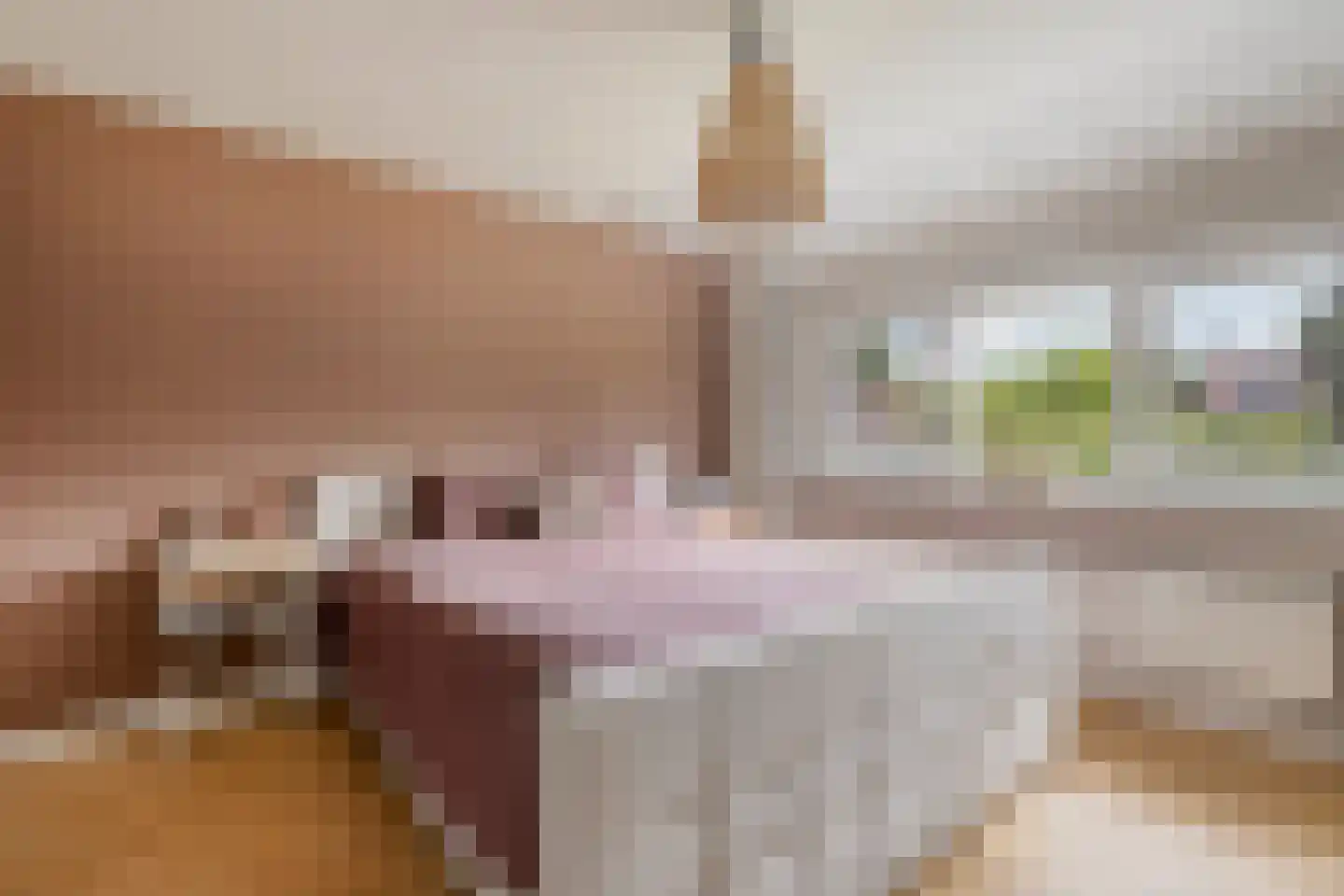 Boerhaavelaan 61 Eindhoven thumbnail 24