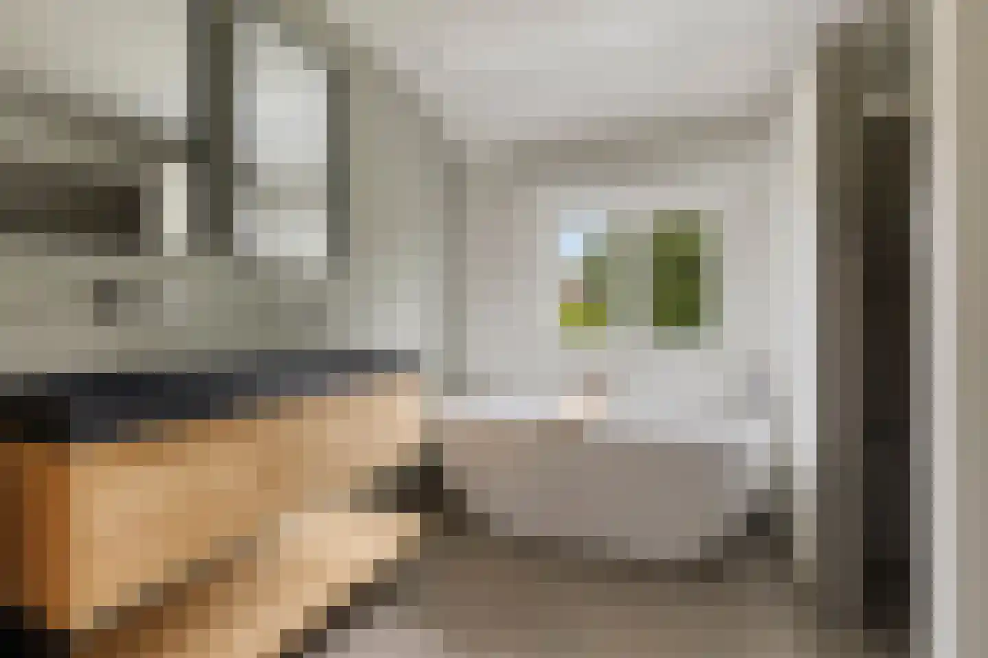 Boerhaavelaan 61 Eindhoven thumbnail 30