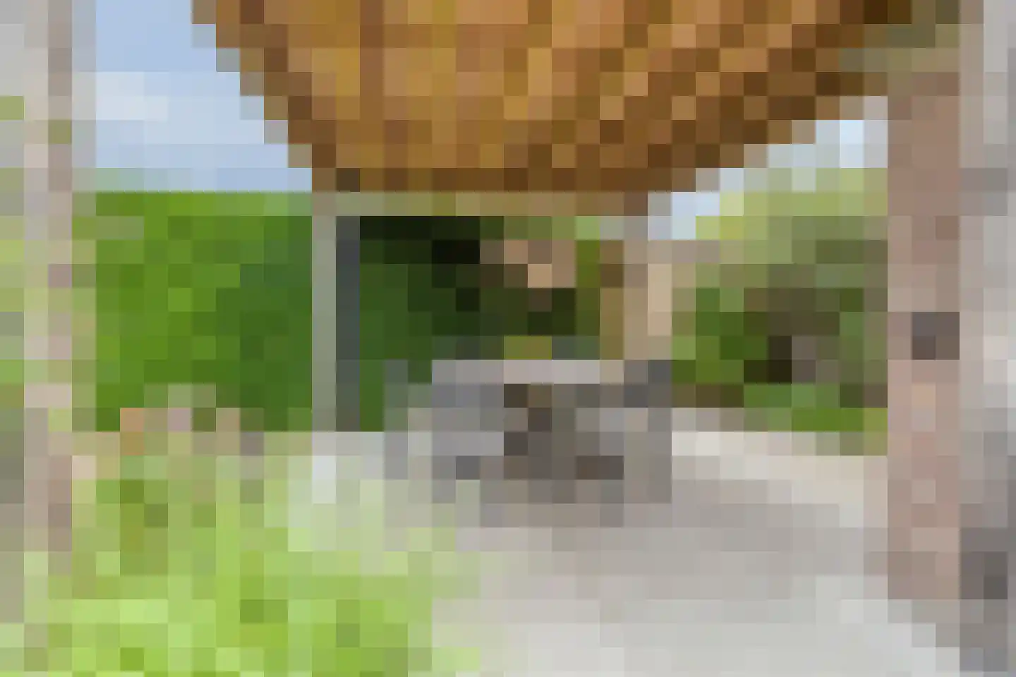 Boerhaavelaan 61 Eindhoven thumbnail 36