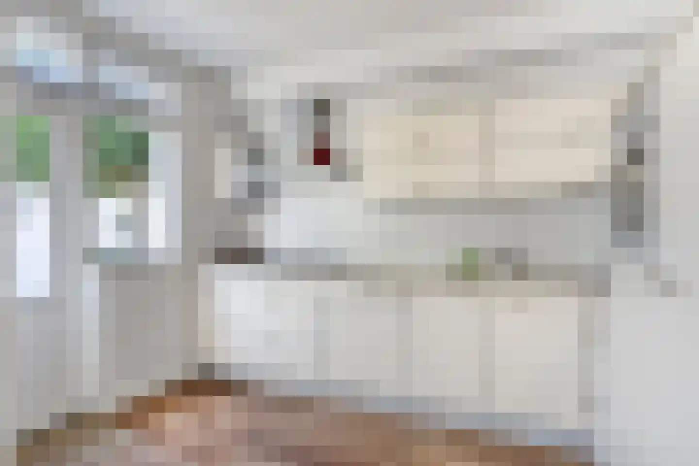 Boerhaavelaan 62 Helmond thumbnail 14