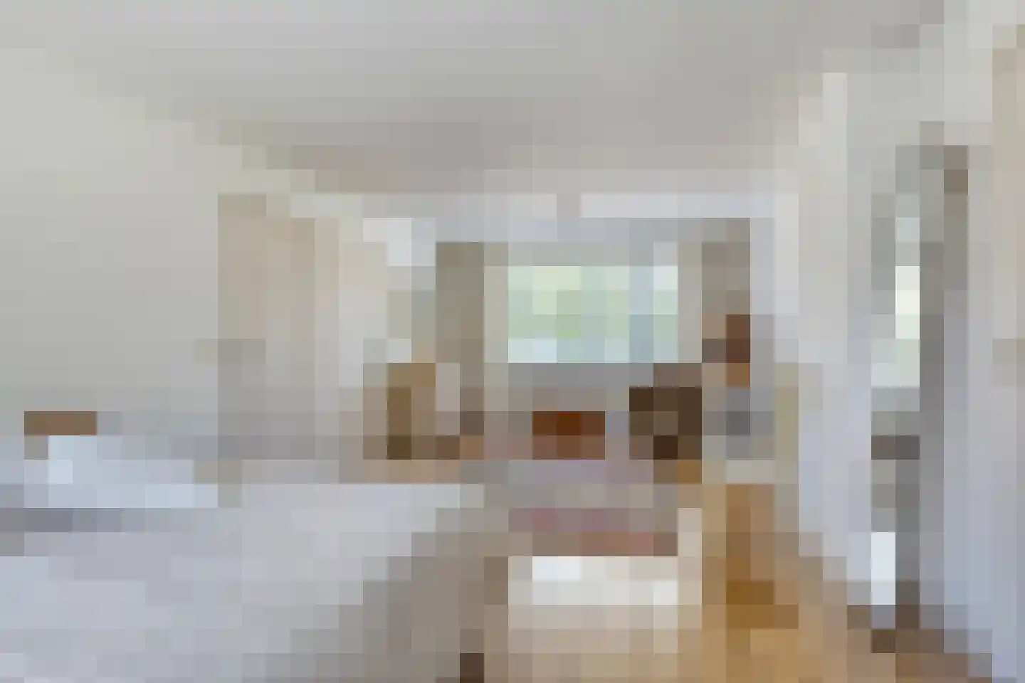 Boerhaavelaan 62 Helmond thumbnail 18