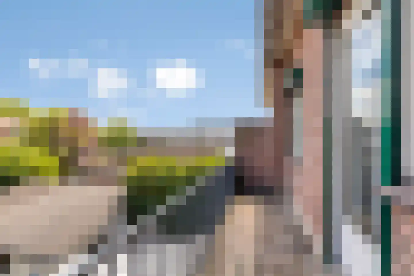 Boerhaavelaan 62 Helmond thumbnail 18