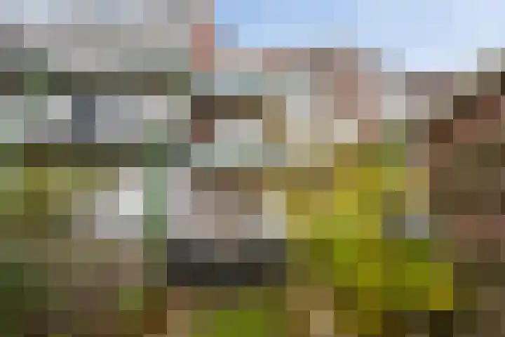 Boerhaavelaan 68 Schiedam thumbnail 22