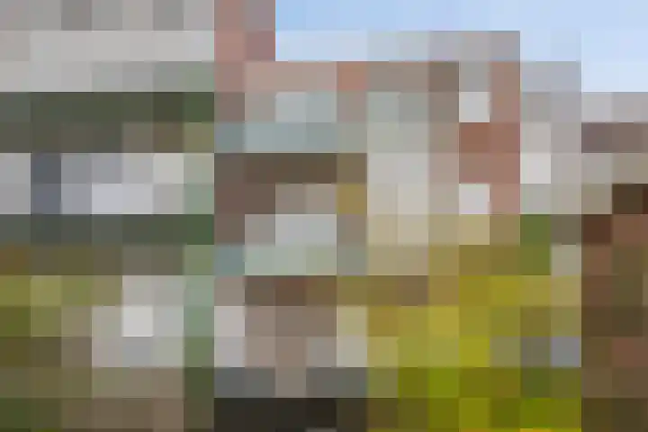 Boerhaavelaan 68 Schiedam thumbnail 23