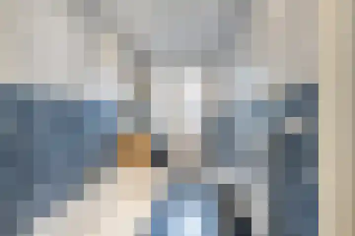 Boerhaavelaan 68 Schiedam thumbnail 33