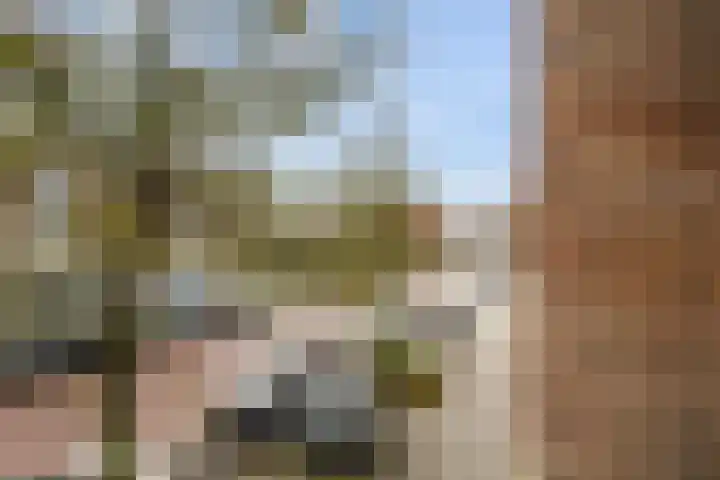 Boerhaavelaan 68 Schiedam thumbnail 36