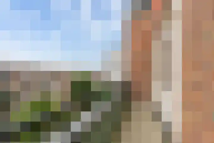 Boerhaavelaan 68 Schiedam thumbnail 45
