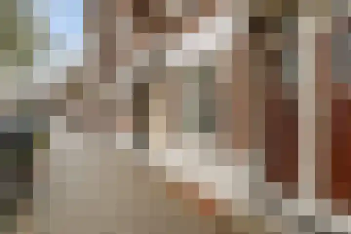 Boerhaavelaan 68 Schiedam thumbnail 5