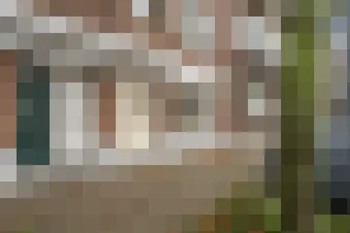 Boerhaavelaan 68 Schiedam thumbnail 6