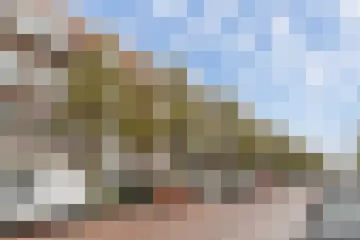 Boerhaavelaan 68 Schiedam thumbnail 61