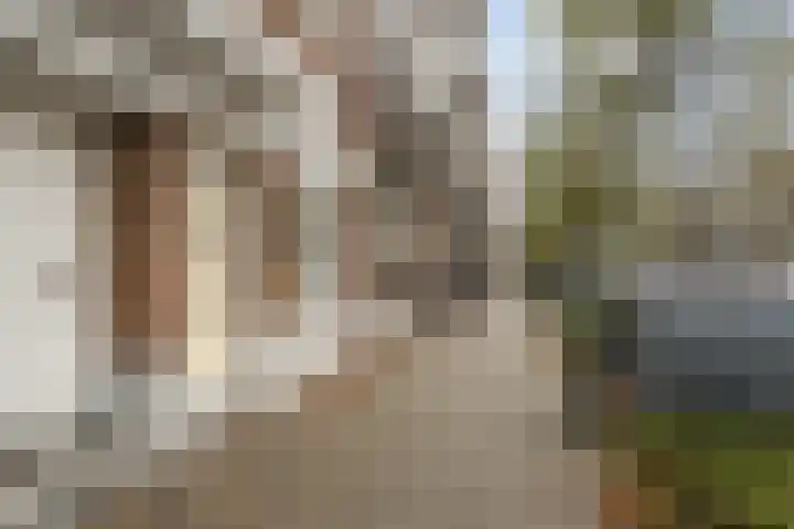 Boerhaavelaan 68 Schiedam thumbnail 7