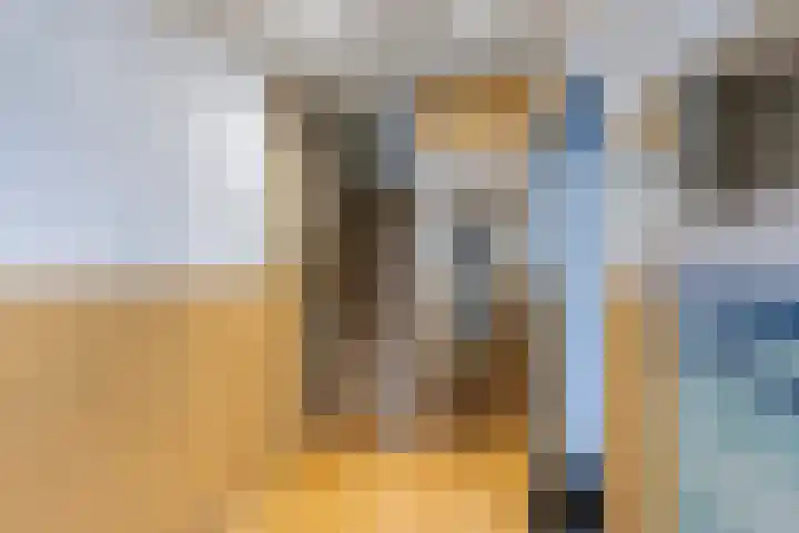 Boerhaavelaan 68 Schiedam thumbnail 8