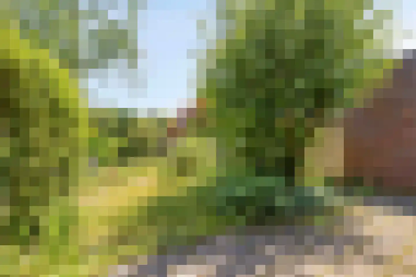 Boerhaavelaan 69 Eindhoven thumbnail 27