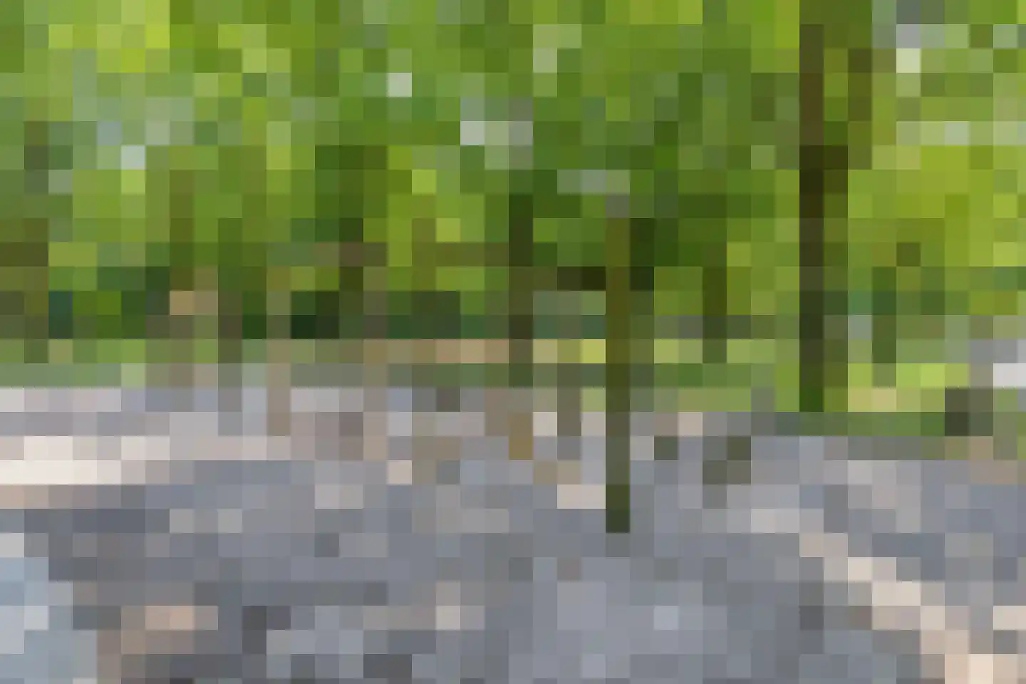 Boerhaavelaan 69 Eindhoven thumbnail 29