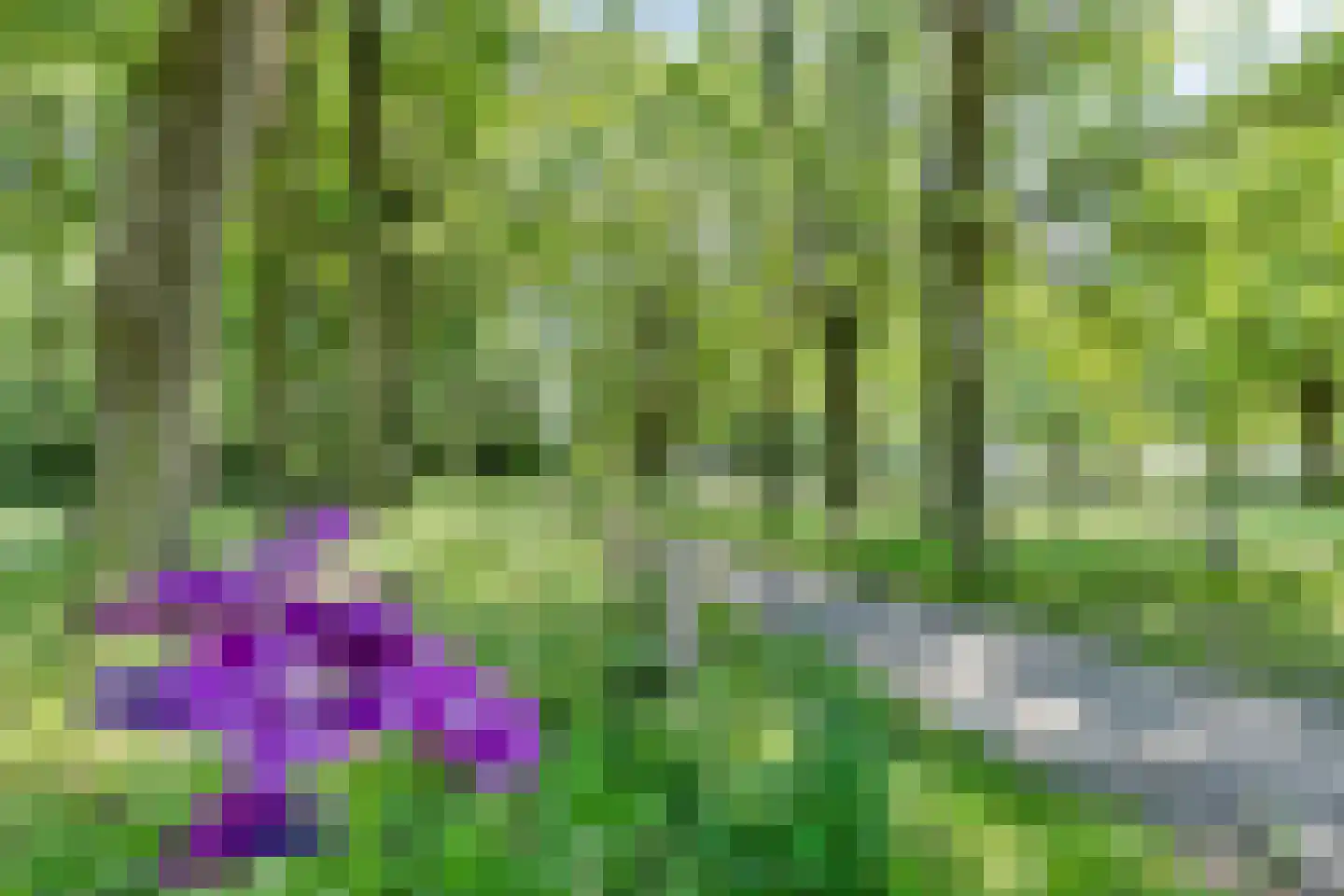 Boerhaavelaan 69 Eindhoven thumbnail 31