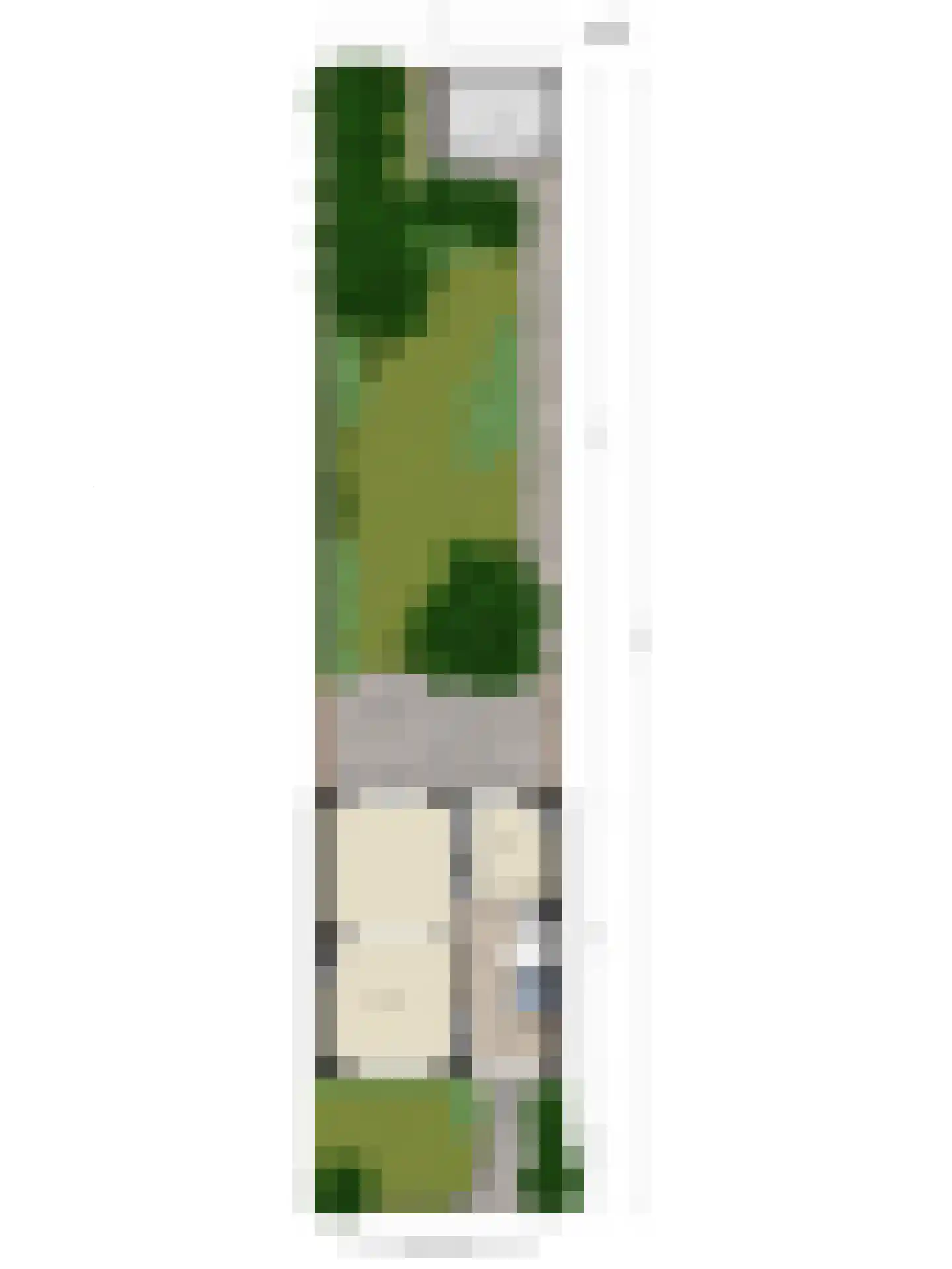 Boerhaavelaan 69 Eindhoven thumbnail 33
