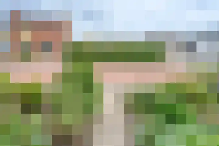 Boerhaavelaan 7 Eerbeek thumbnail 20