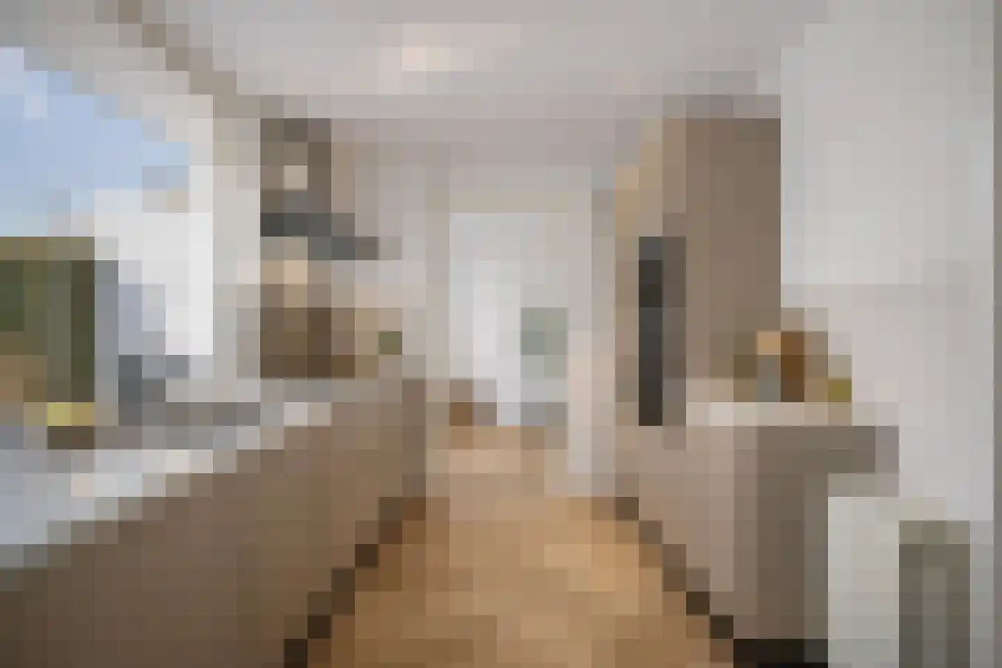 Boerhaavelaan 7 Helmond thumbnail 17