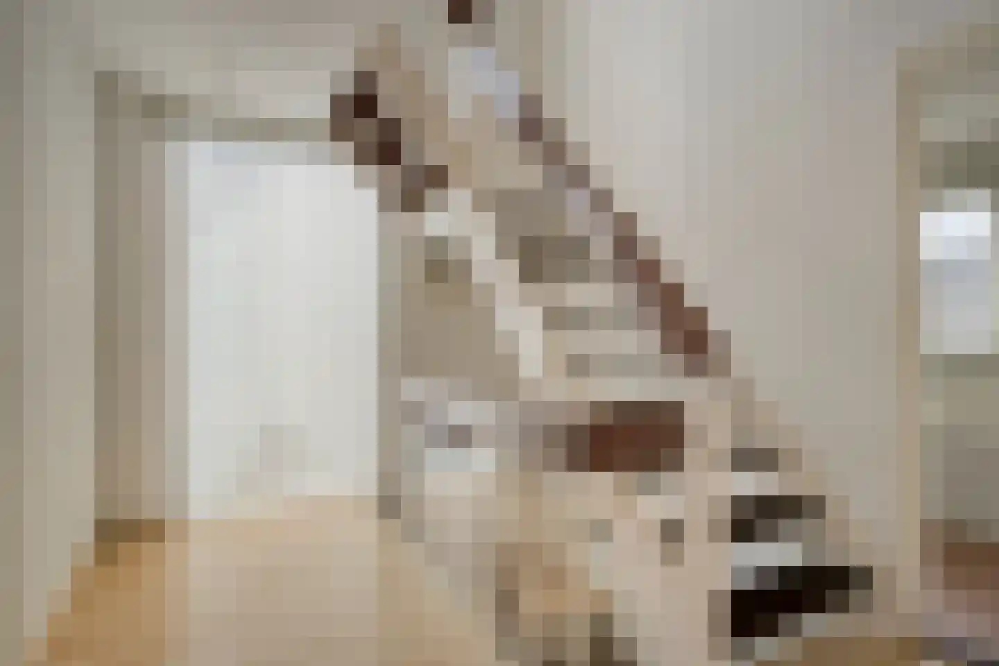 Boerhaavelaan 7 Helmond thumbnail 18