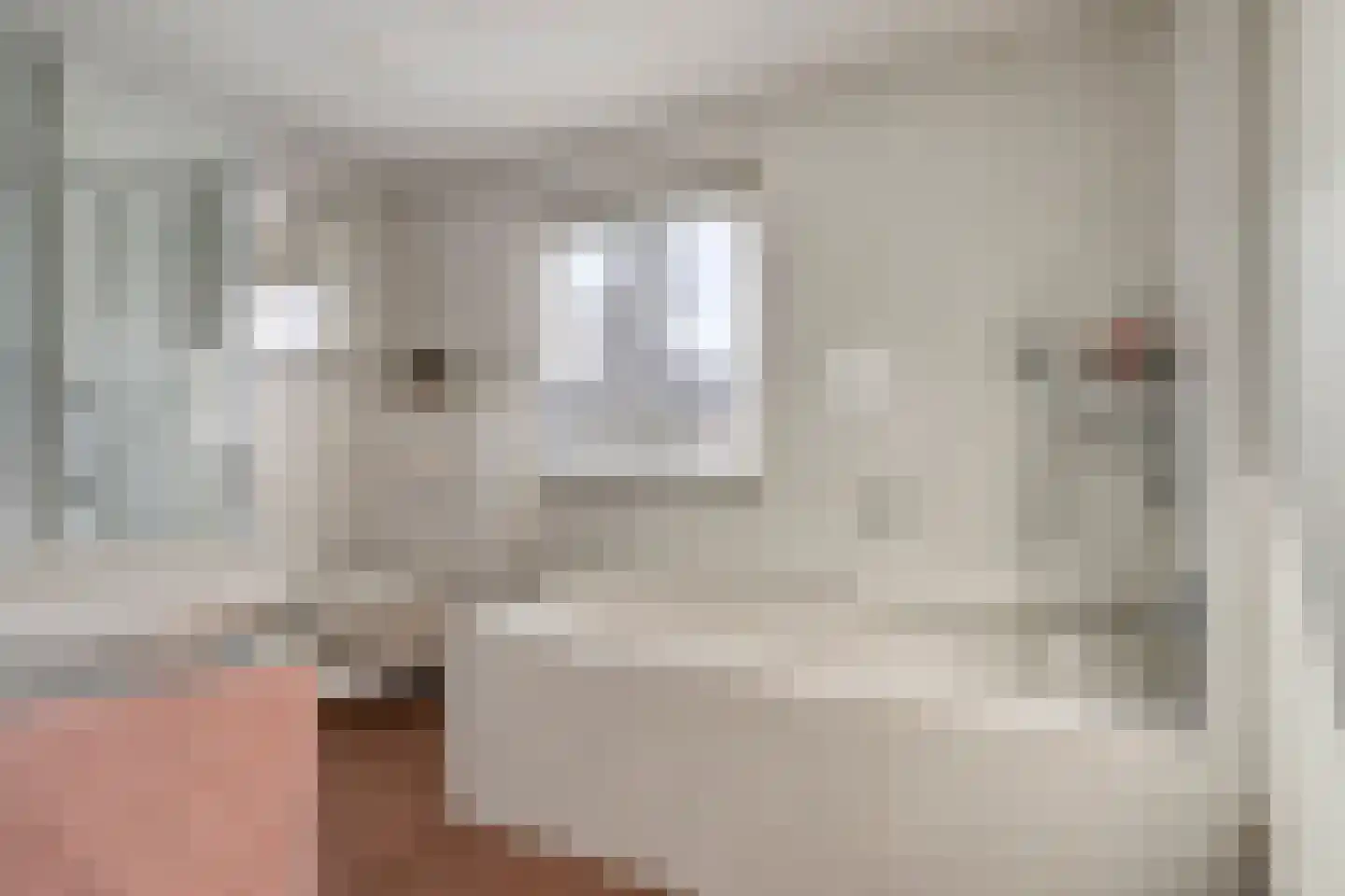 Boerhaavelaan 7 Helmond thumbnail 22