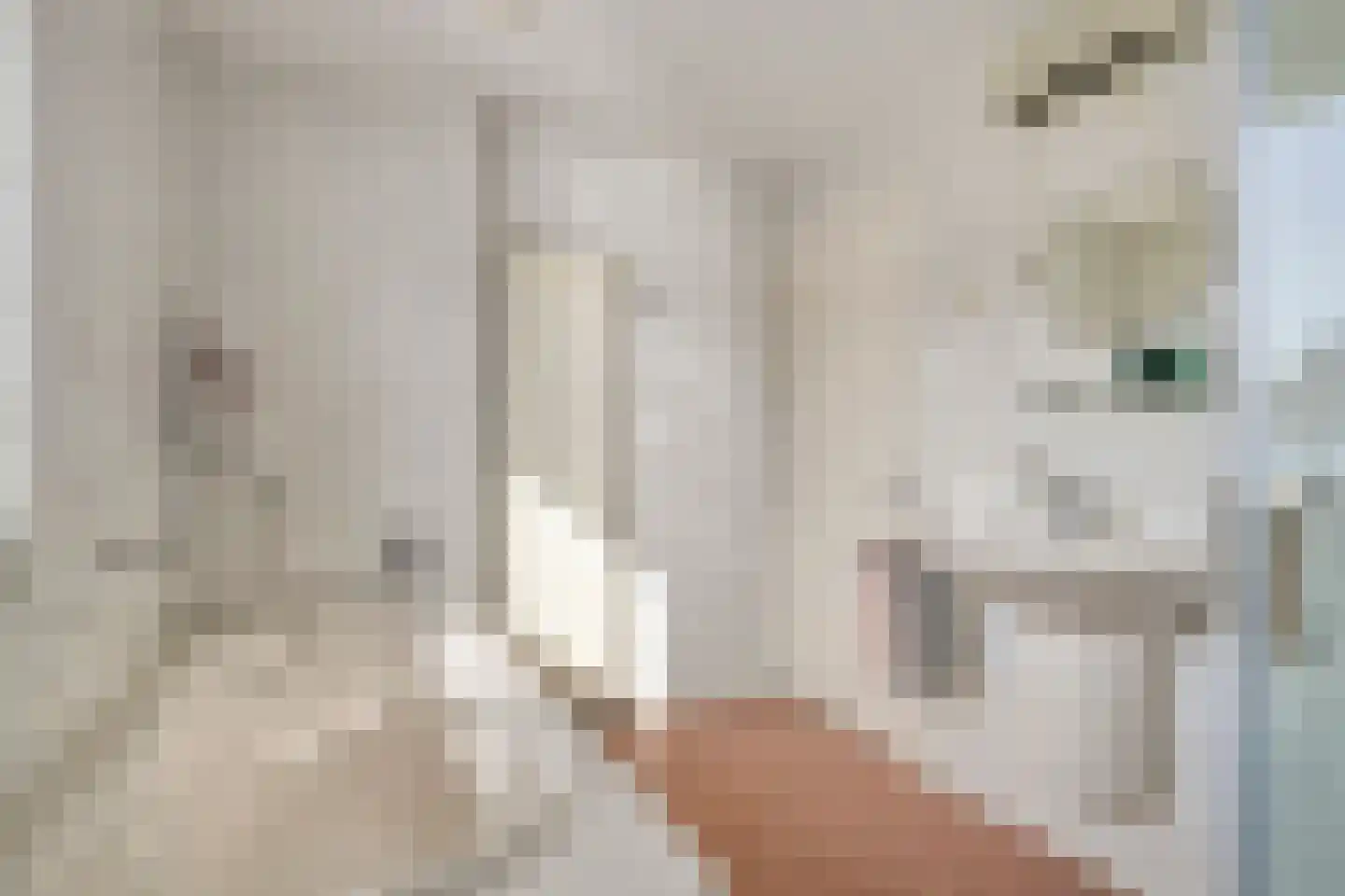Boerhaavelaan 7 Helmond thumbnail 25